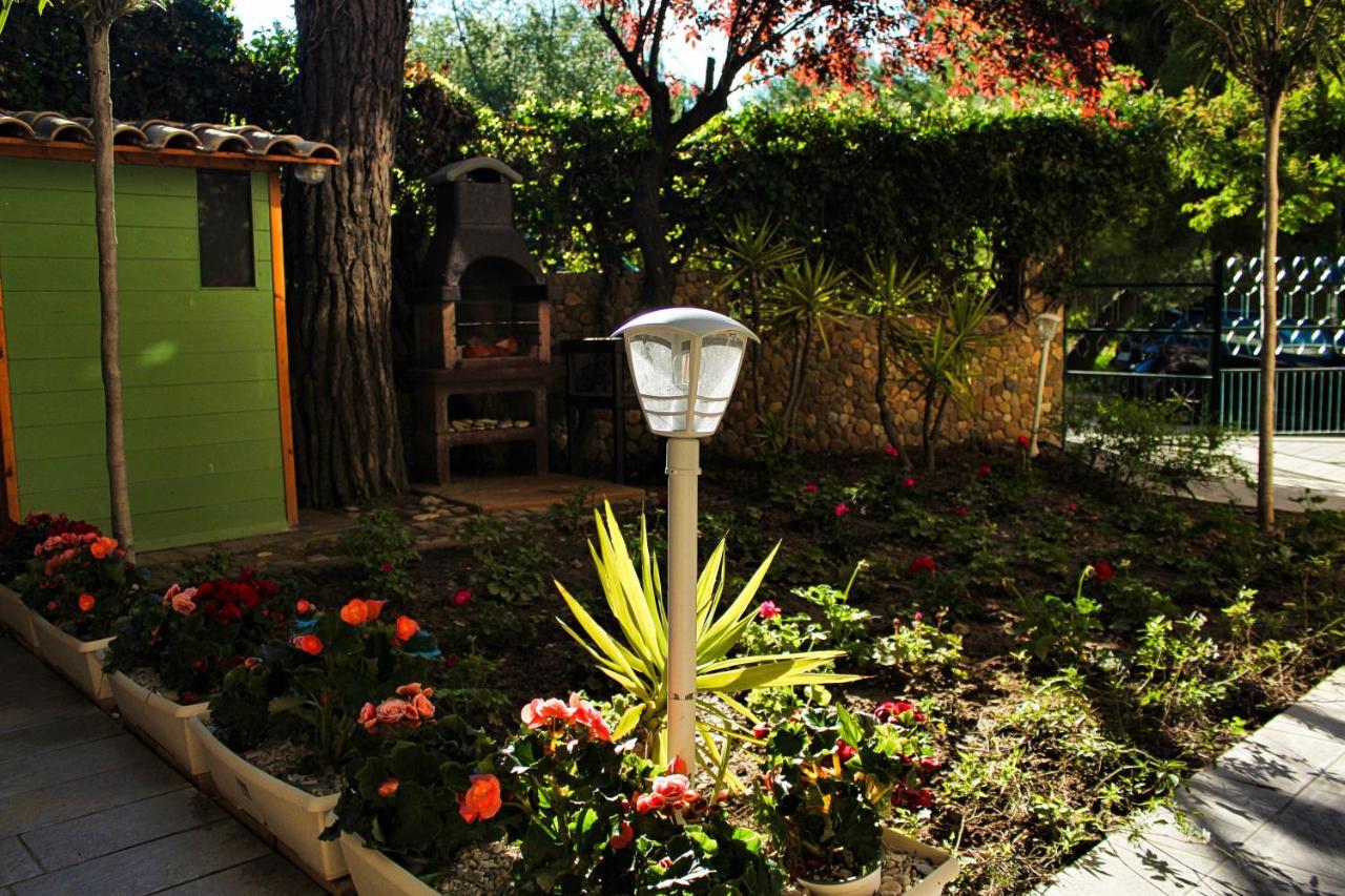 לינה וארוחת בוקר Porto SantʼElpidio La Casa Di Nonno Giulio מראה חיצוני תמונה