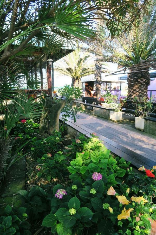 לינה וארוחת בוקר Porto SantʼElpidio La Casa Di Nonno Giulio מראה חיצוני תמונה