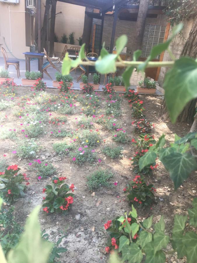 לינה וארוחת בוקר Porto SantʼElpidio La Casa Di Nonno Giulio מראה חיצוני תמונה